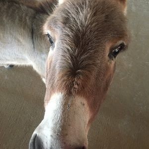 Meet your Posher, Mary